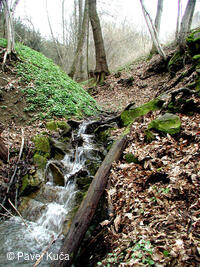 Jasenná, příroda, krajina, potok