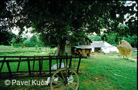 Bílé Karpaty, Lopeník, kopanice, statek