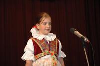 Mezinárodní armádní festival Rožnovská Valaška