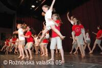 Mezinárodní armádní festival Rožnovská Valaška