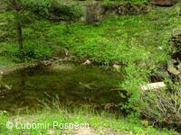 Přírodní památka Lom Rasová