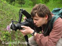 Přírodní památka Lom Rasová