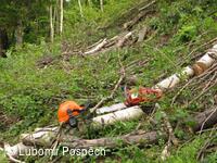 Přírodní památka Pod Hřibovňou