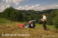 Přírodní památka Pod Hřibovňou