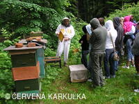 Medobraní u Perníkové chaloupky 2007