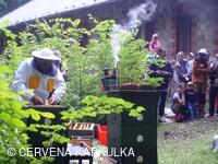 Medobraní s dětským dnem 2009