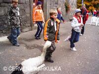 Perníkiáda 2009 - Čapí stoj na jedné noze