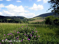 Bílé Karpaty, Lopeník, Lopenické sedlo