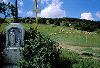 Bílé Karpaty, Lopeník, Lopenické sedlo