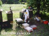 Medobraní a Den dětí 2010