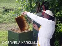 Medobraní a Den dětí 2010