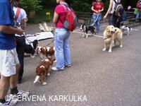 Medobraní a Den dětí 2010