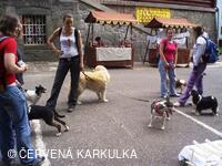 Medobraní a Den dětí 2010