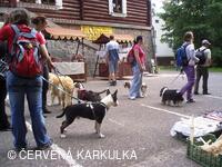 Medobraní a Den dětí 2010