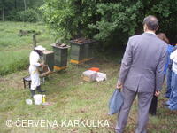 Medobraní s dětským dnem u Perníkové chaloupky 2011