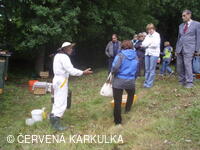 Medobraní s dětským dnem u Perníkové chaloupky 2011