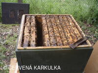 Medobraní s dětským dnem u Perníkové chaloupky 2011
