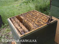 Medobraní s dětským dnem u Perníkové chaloupky 2011
