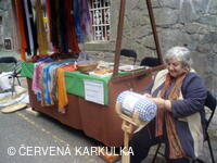 Medobraní s dětským dnem u Perníkové chaloupky 2011