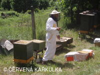 Medobraní s dětským dnem u Perníkové chaloupky 2011